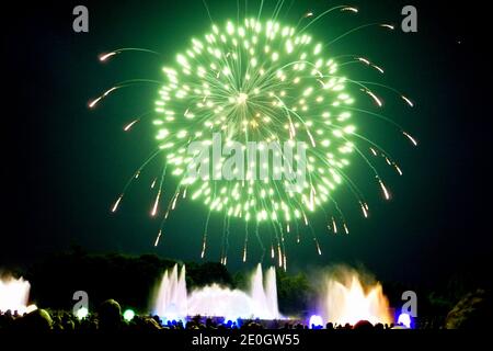 Beautiful green fireworks on the dark sky above a lit water fountain Stock Photo