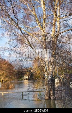 Flooded river windrush around the cotswold village of Swinbrook on christmas eve 2020. Swinbrook, Cotswolds, Oxfordshire, England Stock Photo