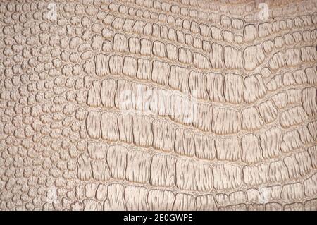 A fragment of genuine reptile skin with a characteristic pattern of pale beige. Background, texture. Stock Photo
