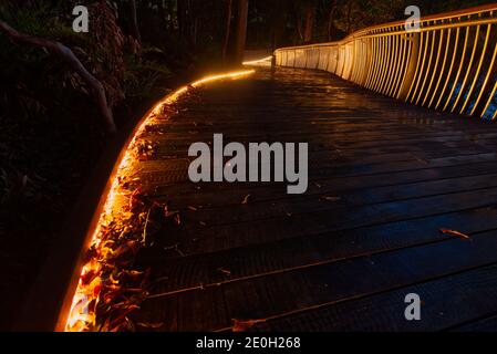 The Noosa boardwalk at night in Queensland, Australia. Stock Photo