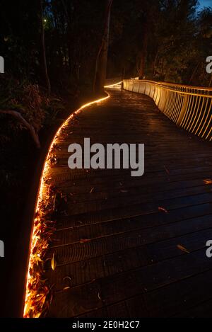 The Noosa boardwalk at night in Queensland, Australia. Stock Photo