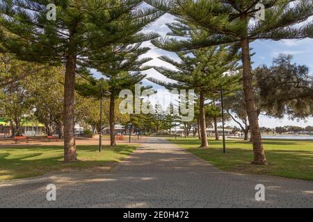 Trees close to the Harbor of Mandurah close to Perth in Western Australia Stock Photo