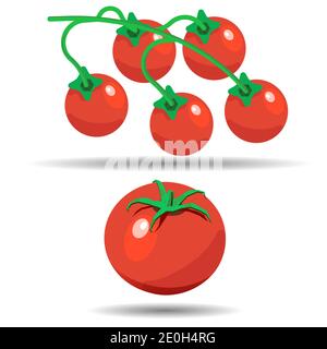 Tomato and tomatoes on a branch vector. Isolated vegetables Stock Vector