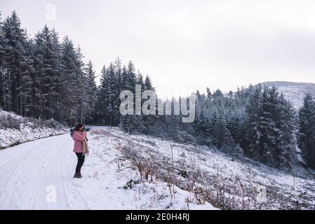 Snow Covered Pines at the Hafod Estate, Mid Wales. The Cambrian mountain range experienced Alpine snow fall on New Years eve, 2020. Stock Photo