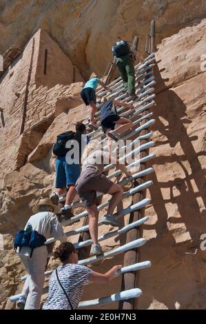 Visitors climbing a ladder at Balcony House cliff dwelling in alcove at Chaplin Mesa, Cliff Palace Loop, Mesa Verde National Park, Colorado, USA Stock Photo