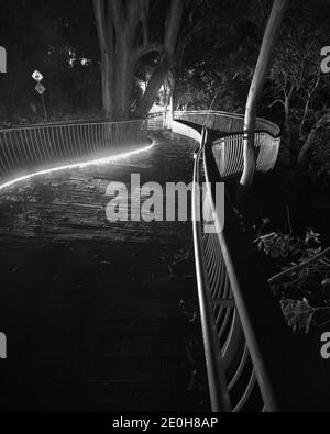 The Noosa boardwalk at night in Queensland, Australia. Stock Photo