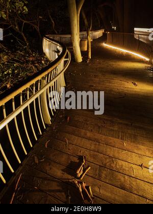 The Noosa boardwalk at night in Queensland, Australia. Stock Photo