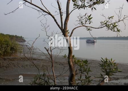 Sundarbans National Park is a large coastal mangrove forest, shared by India and Bangladesh Stock Photo