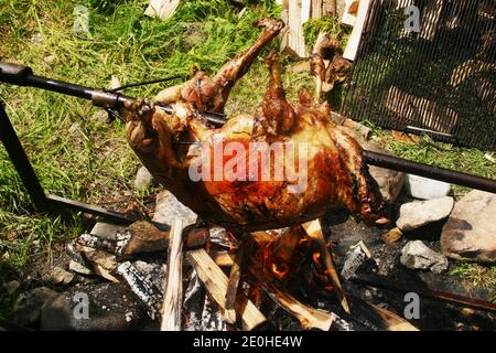 Roasting sheep on a rotating spit over open fire in Romania's countryside Stock Photo