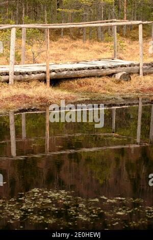 Harghita County, Romania. Mohos Peat Bog, a natural reserve in the crater of an old volcano in the Carpathian Mountains. Stock Photo