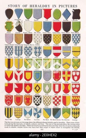 Story of Heraldry in Pictures - Shields, Ordinaries, Tinctures and Coats of Arms. Stock Photo