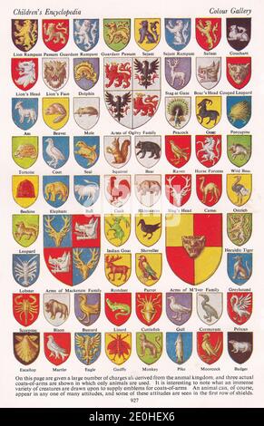 Story of Heraldry in Pictures - Shields, Ordinaries, Tinctures and Coats of Arms. Stock Photo