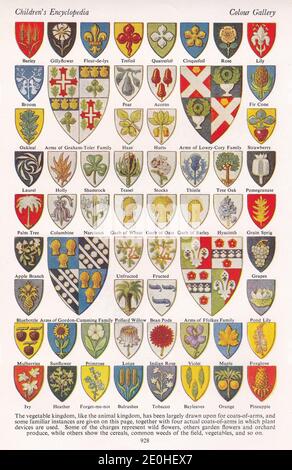 Story of Heraldry in Pictures - Shields, Ordinaries, Tinctures and Coats of Arms. Stock Photo