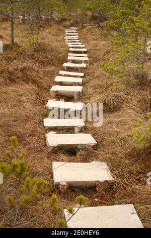 Harghita County, Romania. Pathway through Mohos Peat Bog, a natural reserve in the crater of an old volcano in the Carpathian Mountains. Stock Photo