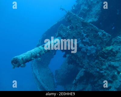 Flugabwehrkanone, Wrack 'Thistlegorm', Rotes Meer, Aegypten Stock Photo