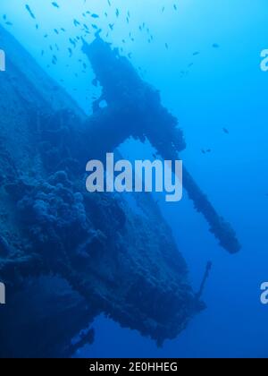 Flugabwehrkanone, Wrack 'Thistlegorm', Rotes Meer, Aegypten Stock Photo