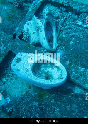 Toiletten, Wrack Jolanta, Ras Mohammed, Sinai, Rotes Meer, Aegypten ...