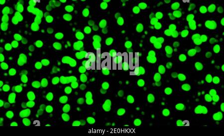 Abstract lights for texture, background, wallpaper, backdrop, banner, template, illustration, fabric and other designs. Dank background. Stock Photo