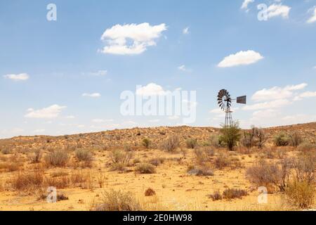 Lone windmill in an arid Kalahari  red dune landscape, Kgalagadi Transfrontier Park, Northern Cape, South Africa Stock Photo