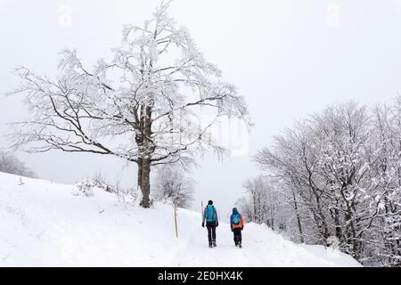 Mother and son hiking in snowy conditions in winter Stock Photo