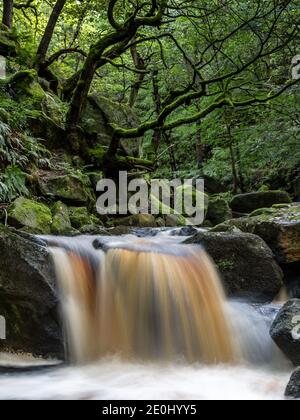 Burbage Brook flowing over rocks in Padley Gorge, Peak District National Park, Derbyshire, England Stock Photo
