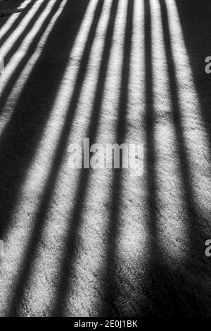 Black & white view of white vinyl picket fence casts long winter shadows on fresh snow; Salida; Colorado; USA Stock Photo