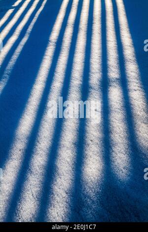 White vinyl picket fence casts long winter shadows on fresh snow; Salida; Colorado; USA