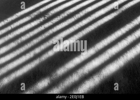 Black & white view of white vinyl picket fence casts long winter shadows on fresh snow; Salida; Colorado; USA Stock Photo