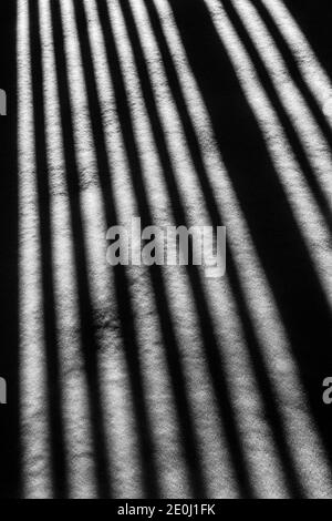 Black & white view of white vinyl picket fence casts long winter shadows on fresh snow; Salida; Colorado; USA Stock Photo