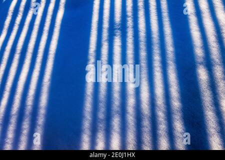 White vinyl picket fence casts long winter shadows on fresh snow; Salida; Colorado; USA Stock Photo