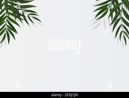 Abstract Realistic Green Palm Leaf Tropical Background. Vector illustration Stock Vector