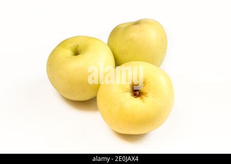 Three yellow apples isolated on white background. Above and closeup Stock Photo