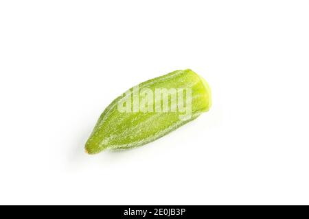 A single green okra vegetable isolated on white background Stock Photo