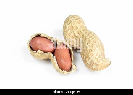 Peanuts in shell and peeled isolated on white background. Closeup and separated Stock Photo