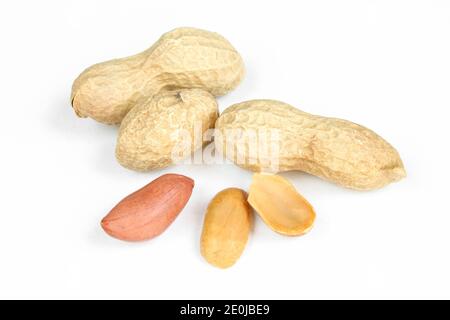 Peanuts in shell and peeled isolated on white background. Closeup and separated Stock Photo