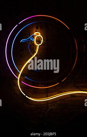 Seagull bird made of neon colorful light on brick wall in radio station room Stock Photo