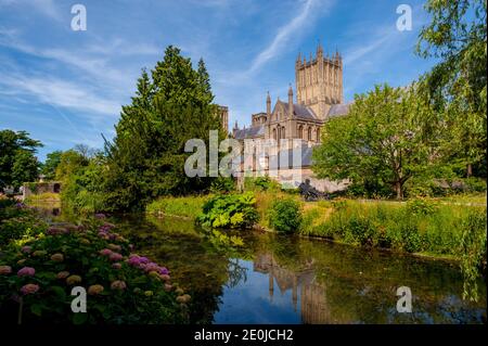 Wells cathedral from the pool in the bishops palace Stock Photo