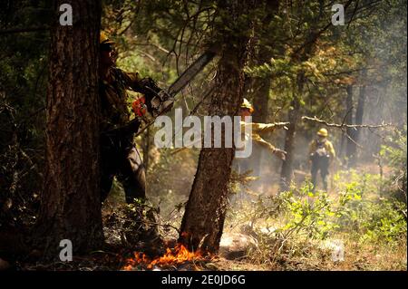 Vandenberg Air Force Base Hot Shot fire fighter Brad Mabery cuts a tree with his chainsaw while cutting and clearing a fire line on June 28, 2012 in the Mount Saint Francois area of Colorado Springs, Co. His team is helping to battle several fires in Waldo Canyon. The Waldo Canyon fire has grown to 18,500 acres and burned over 300 homes. Currently, more than 90 firefighters from the Academy, along with assets from Air Force Space Command; F.E. Warren Air Force Base, Wyo.; Fort Carson, Colo.; and the local community continue to fight the Waldo Canyon fire. Photo by U.S. Air Force via ABACAPRESS Stock Photo