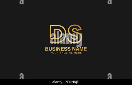 DS D  S initial based letter typography logo design vector Stock Vector