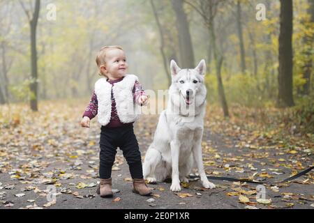 Little girl playing with dog husky walking in the forest Stock Photo