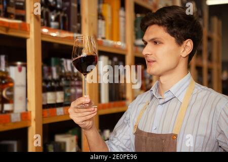 Young winemaker examining red wine in his glass, working at his own wine store Stock Photo