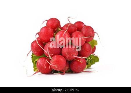 Bunch of raw cultivated radishes isolated on white background Stock Photo