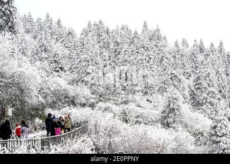 Chongqing, China. 2nd Jan, 2021. People visit the Fairy Mountain national forest park in Wulong District of Chongqing, southwest China, Jan. 2, 2021. Credit: Liu Chan/Xinhua/Alamy Live News Stock Photo