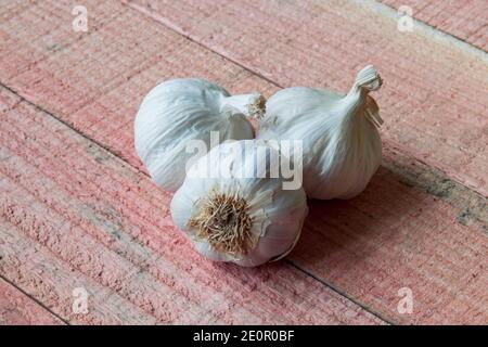 Garlic bulbs close up on the red pine wood table top. Stock Photo