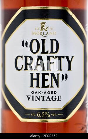 Old Crafty Hen Stock Photo