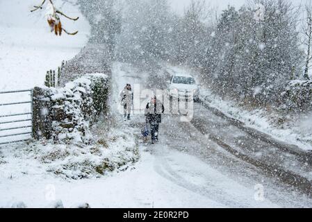 Downham, Clitheroe, Lancashire, UK. 2nd Jan, 2021. A snow storm on Pendle Hill near Downham, Clitheroe, Lancashire surprised people sledging and walkers . Credit: John Eveson/Alamy Live News Stock Photo