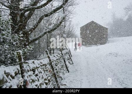 Downham, Clitheroe, Lancashire, UK. 2nd Jan, 2021. A snow storm on Pendle Hill near Downham, Clitheroe, Lancashire surprised people sledging and walkers . Credit: John Eveson/Alamy Live News Stock Photo