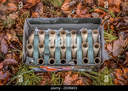 a box of burnt fireworks standing among the leaves, Denmark, January 2, 2021 Stock Photo