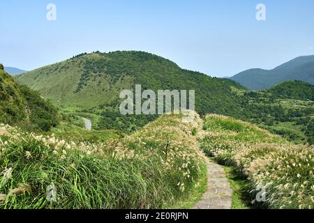 View from Mt. Qixing Trail in Yangmingshan National Park, Taiwan Stock Photo