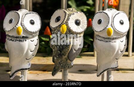 Munich, Germany, AUG 26, 2017: Decorative Owls are on display in the street, in front of a souvenir shop Stock Photo